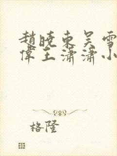 赵晓东吴雪晴郑伟王潇潇小说