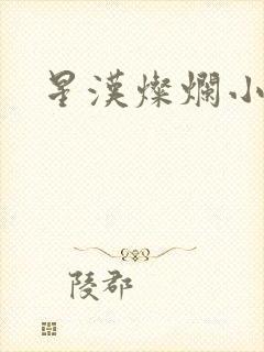 星汉灿烂小说
