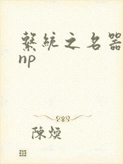 系统之名器攻略np