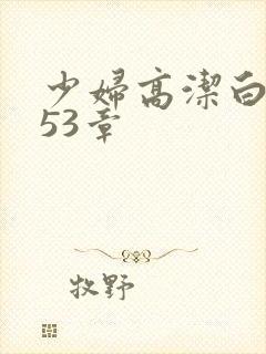 少妇高洁白义第53章