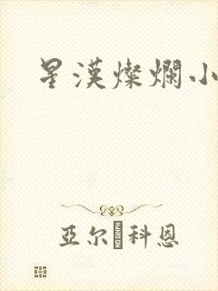 星汉灿烂小说