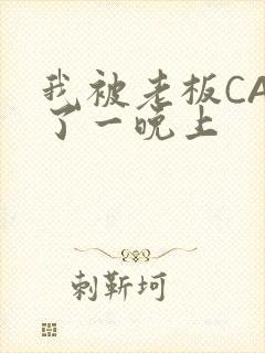 我被老板CAO了一晚上