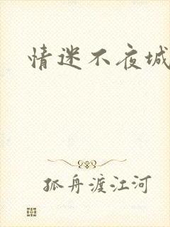 情迷不夜城