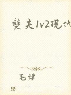 双夫1v2现代