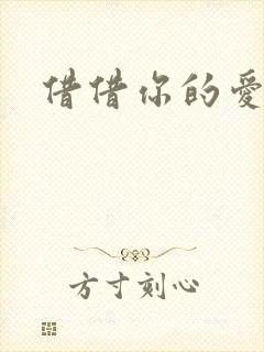 借借你的爱
