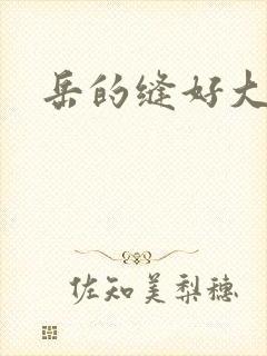 岳的缝好大封面