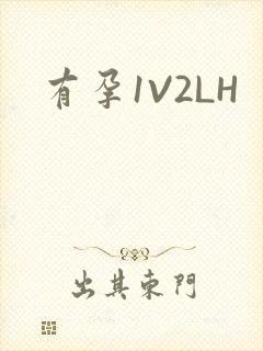 有孕1V2LH