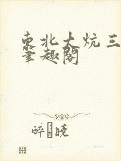 东北大炕三部曲笔趣阁