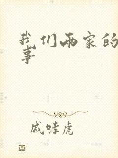 我们两家的荒唐事