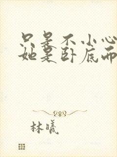 只是不小心发现她是卧底而已