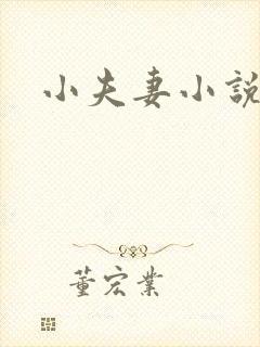 小夫妻小说