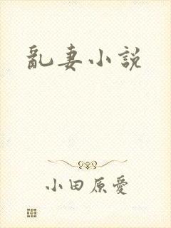 乱妻小说