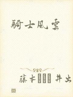 骑士风云