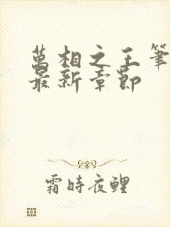 万相之王笔趣阁最新章节