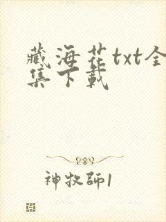 藏海花txt全集下载