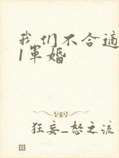 我们不合适1v1军婚