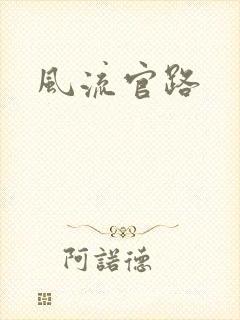 风流官路