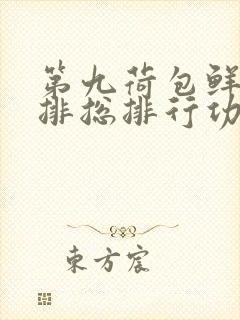 第九荷包鲜辣肉排总排行功能介绍