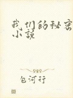 我们的秘密泰剧小说