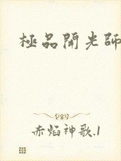 极品开光师