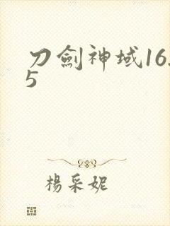 刀剑神域16.5