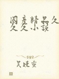 国产精品久久久久久小说