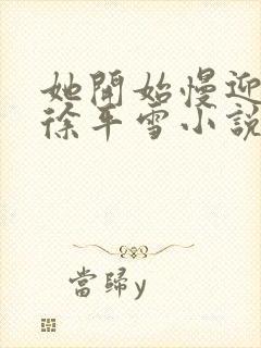 她开始慢迎迎合徐平雪小说封面