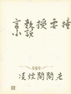 言教授要撞坏了小说