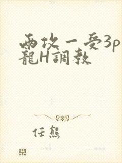 两攻一受3p双龙H调教