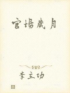 官场岁月