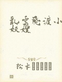 乱云飞渡小说之姣嫂