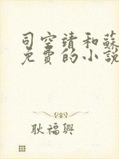 司空靖和苏月汐免费的小说笔趣阁