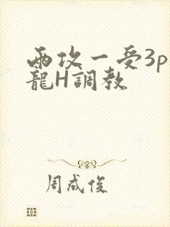 两攻一受3p双龙H调教