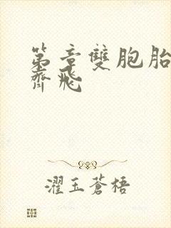 第章双胞胎姐妹齐飞