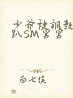 少爷被调教室跪趴SM男男