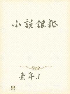 小说银狐