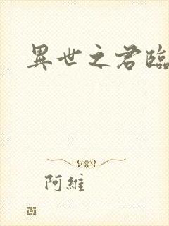 异世之君临天下