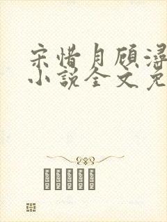 宋惜月顾浔渊的小说全文免费阅读