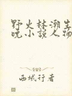 野火林潮生林晚晚小说人物野火