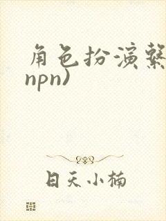角色扮演系统(npn)