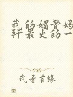 我的媚骨妈妈林轩最火的一句