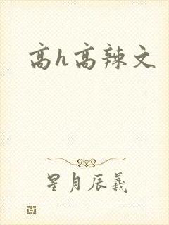 高h高辣文封面