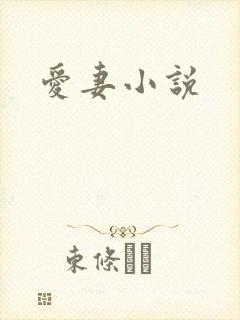 爱妻小说
