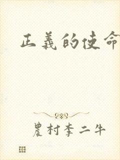 正义的使命小说