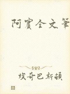 阿宾全文笔趣阁