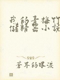 我的青梅竹马是储精器小说