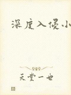 深度入侵小说
