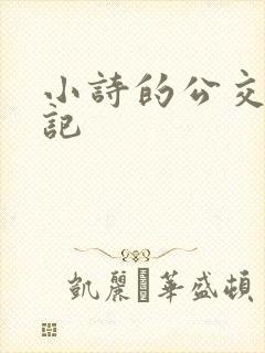 小诗的公交车日记