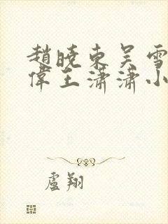 赵晓东吴雪晴郑伟王潇潇小说名字