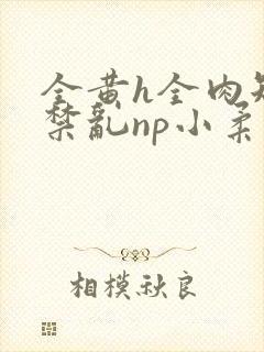 全黄h全肉短篇禁乱np小柔